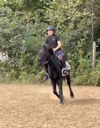 Au trot.jpg