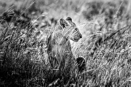 BT9Z9909-Edit.jpg