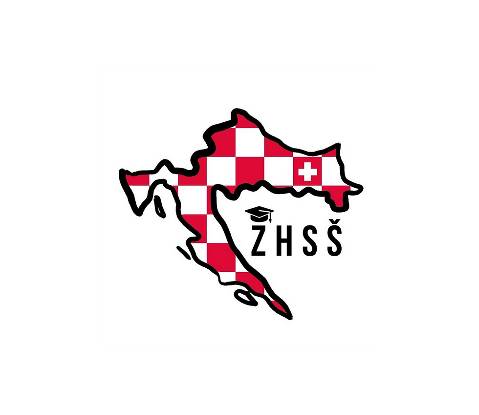 ZHSS - Light Ride Nachtschlitteln