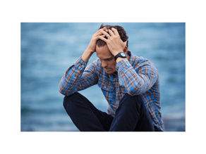 I read your profile.. you are a bully