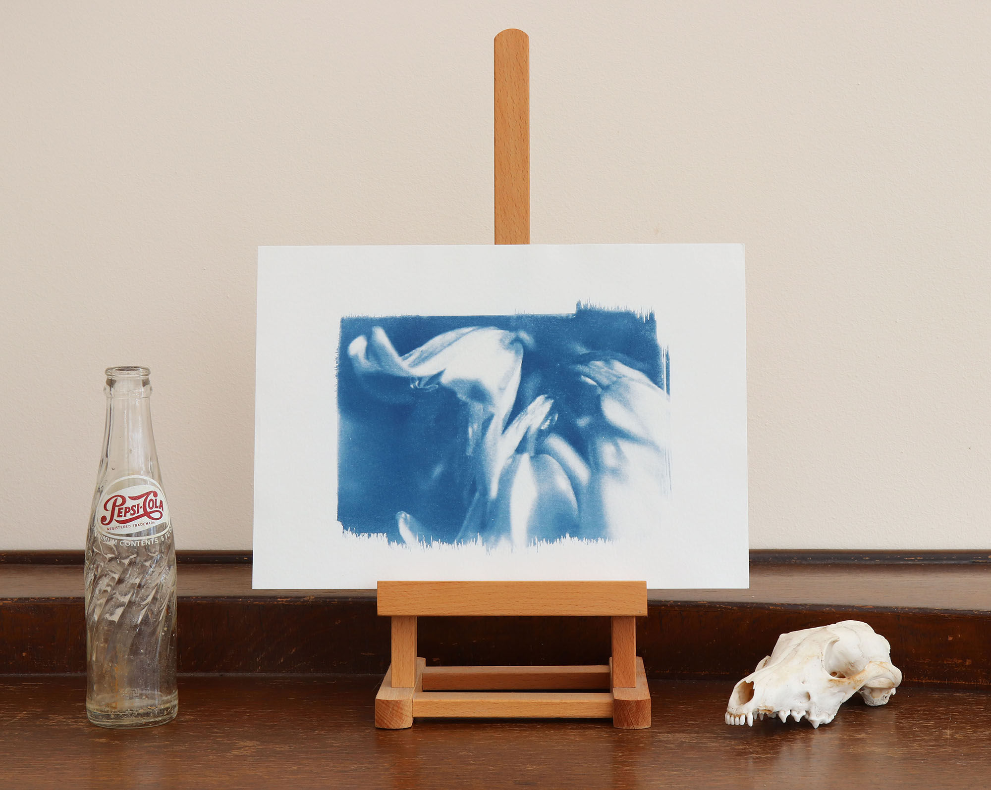 Campanula Cyanotype (Original handmade print)