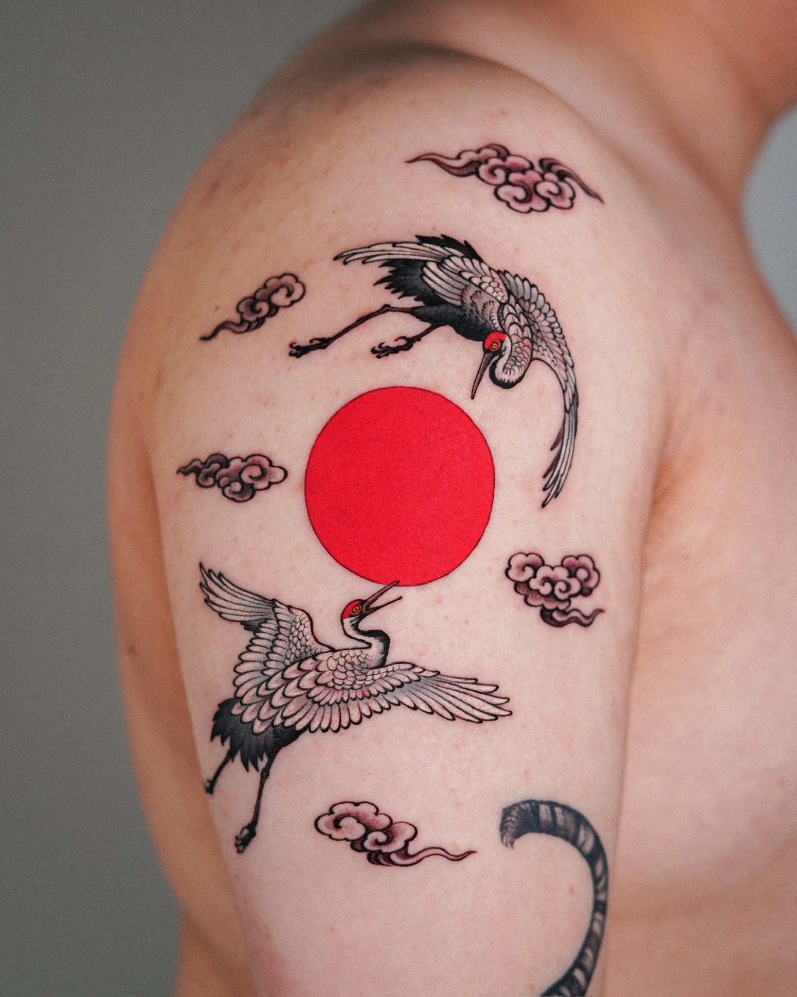 Color tattoo on the upper arm of two red-crowned cranes in flight around a bold red sun, with pink cloud accents. Seoul Ink Tattoo, Gangnam, Seoul, South Korea.