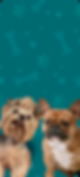 image1.png