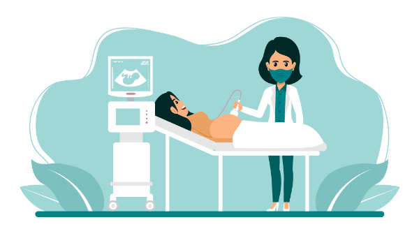 Abdomen Ultrasound Exam Review - Prepry Comprehensive Resources