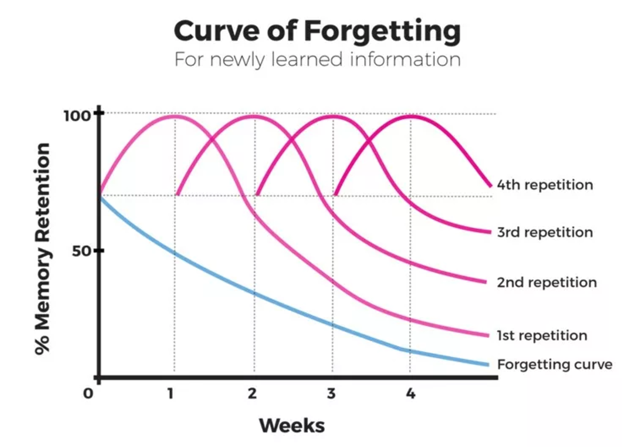 curve of forgetting for spaced repitition