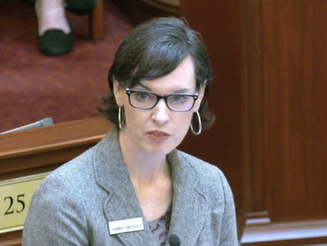 After longwinded debate, Senate kills controversial school choice bill