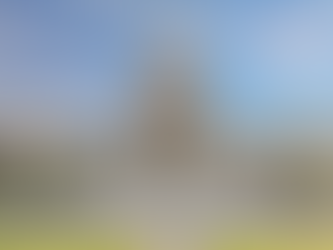 Legislators say they need more time to study Medicaid