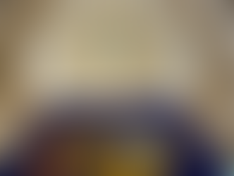 Stark: Keep Vouchers Out of Idaho