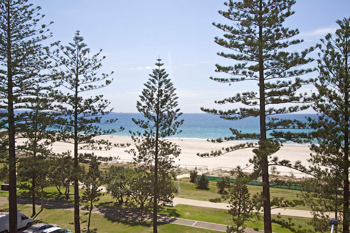 403 Calypso Actual Beach Front View