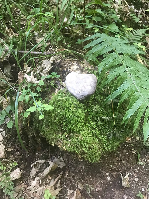 coeur fougère.JPEG