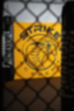 Strike Academy | Club d’arts martiaux | Genève | Sports de combat