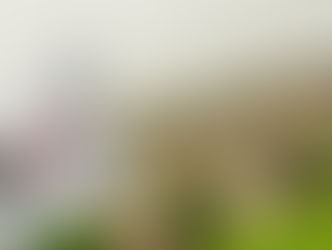 July Update