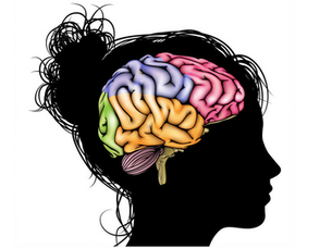 Unique Activation in The Brain During Female Orgasm