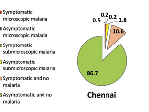 A Life-Threatening Disease from a 2-Milligram Bug: Submicroscopic Malaria in India