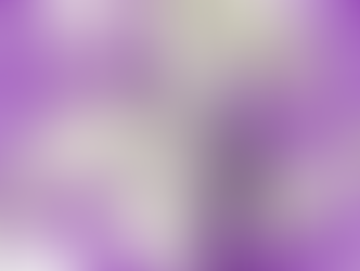 Le refus de syndicaliser les stagiaires