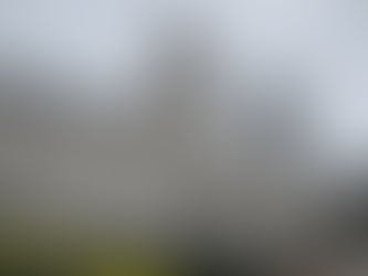 Le PQ est-il devenu un parti populiste ?