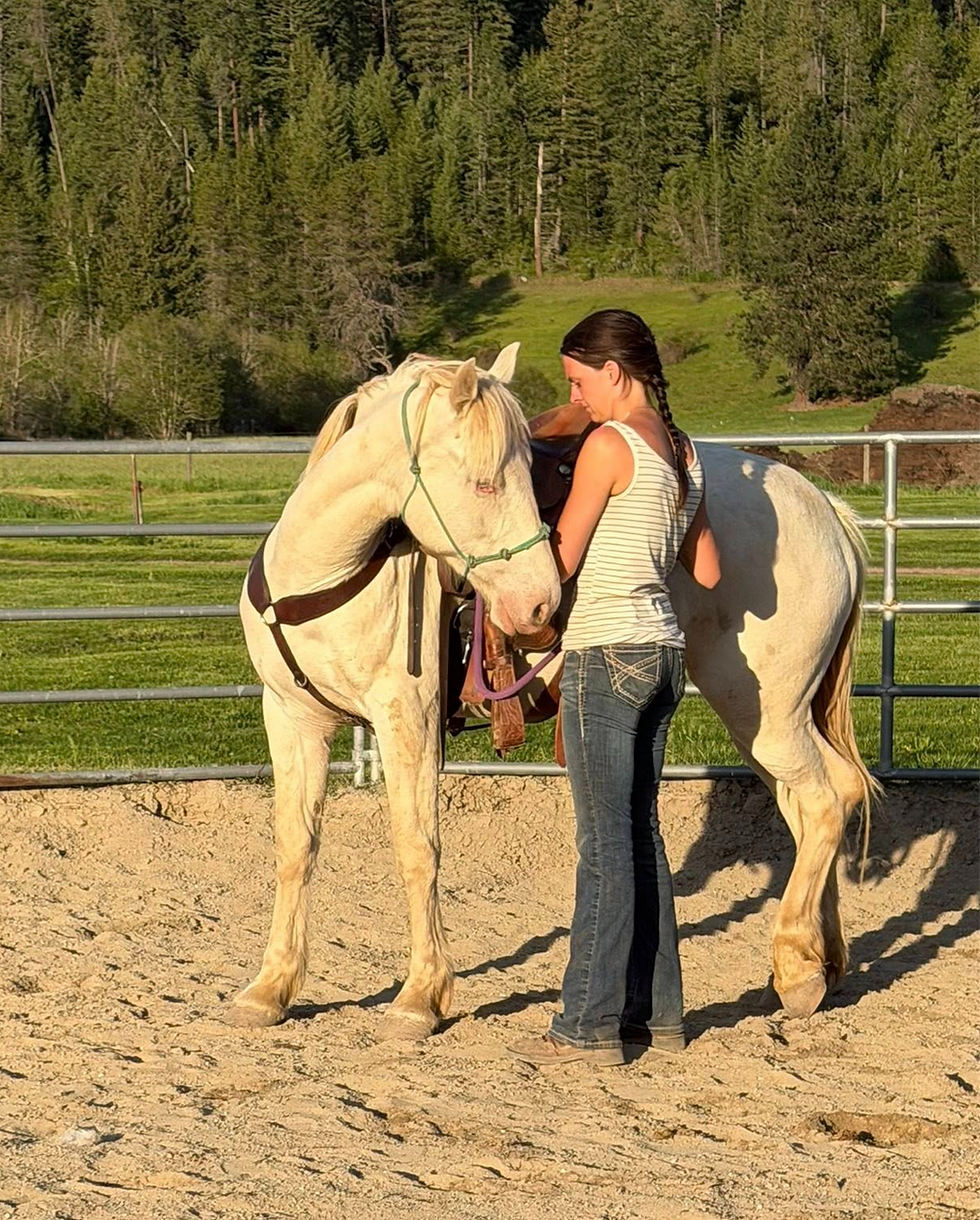 Wild Mustang Demonstration With Boston Bode