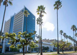 09ce5606-f893-4471-9d32-9b5a96e4d852_edited