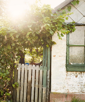 Untitled design (68).png