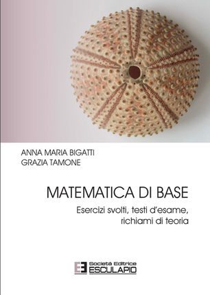 BIGATTI TAMONE - Matematica di base. Esercizi svolti testi d'esame richiami di teoria