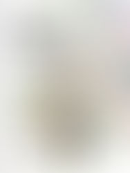 Precorso di matematica