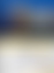 GUIDI - Impianti Nucleari