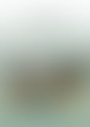 DEFINA - Onde in acque basse