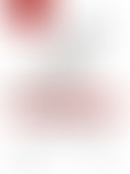 PAPARELLA ZANCHETTA - Il BIM tra Modello e Documento