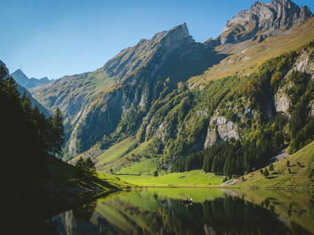 Swiss Hikes + Swiss Cows