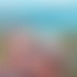 Sabores da Côte d'Azur: Uma Viagem Gastronômica