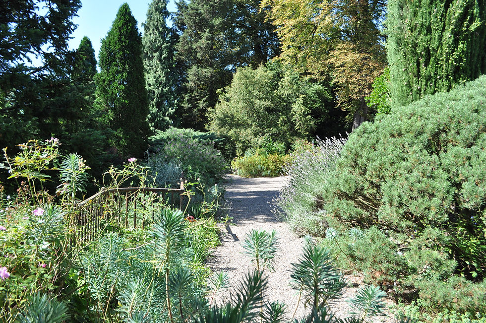 Öffentliche Führung Mittwoch