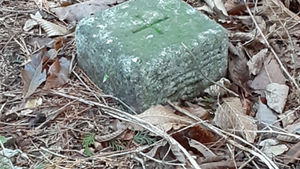 プチ・バリ 三頭山大茅尾根