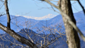 末端から歩く倉岳山・北東尾根