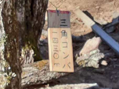 破線を歩く　三角コンバ(1430M)