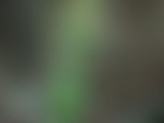 トンボ取り今日は何処まで行ったやら 日和田山