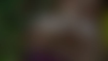 ヒトツボクロって知ってますか
