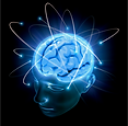brain (1).png