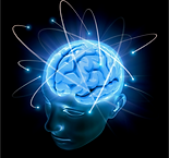 brain (1).png