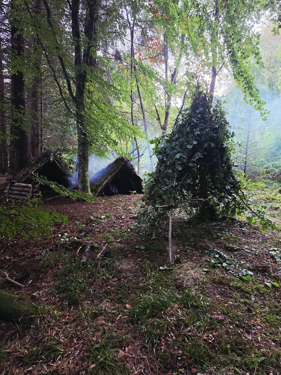Hand-built debris shelters and a tarp camp in woodland at a South West Survival session