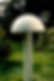 Bollard light ELTE