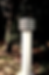 Bollards ELTE