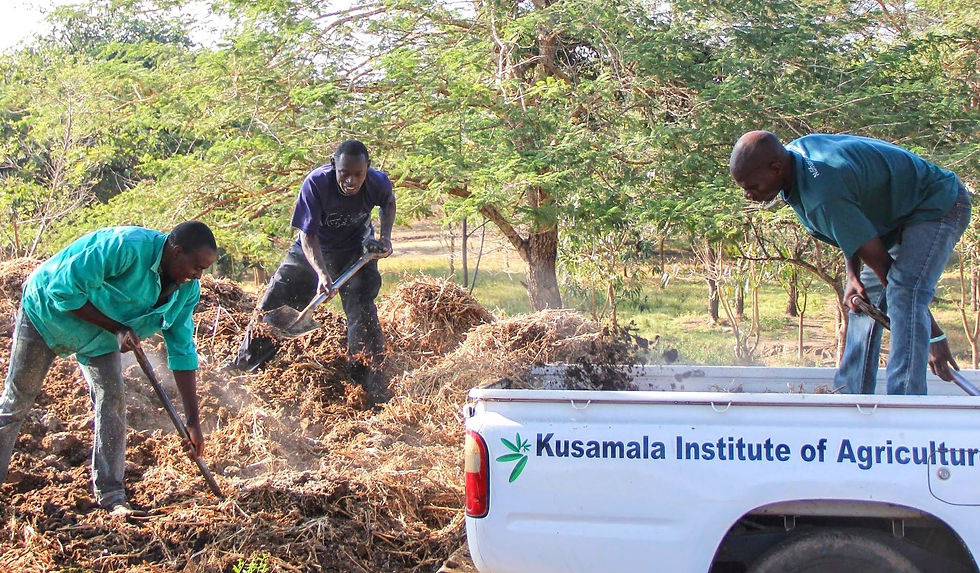 Nitrogen-rich and carbon-rich ingredients from compost at the Kusamala Institute of Agriculture in Malawi are later transformed into a rich, living soil. Jules Reynolds worked at this agroecological nonprofit after graduating from the University of Iowa.