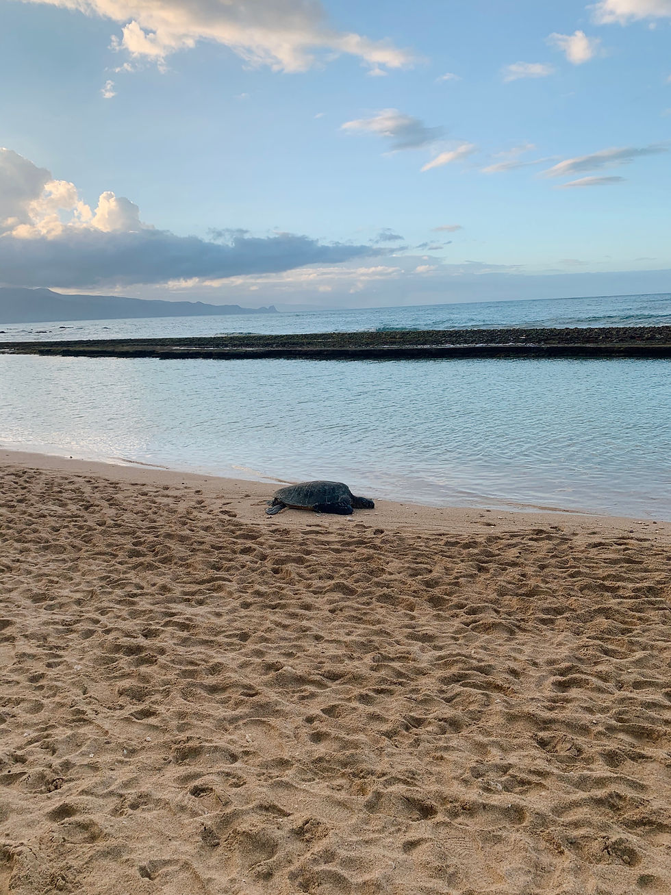 soul coherence ceremony