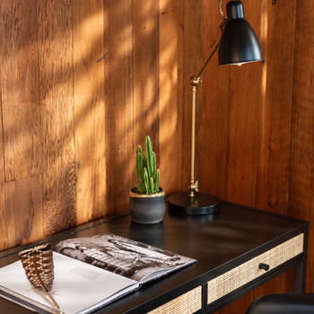 Black cane-front desk with a cactus and black lamp against redwood paneling