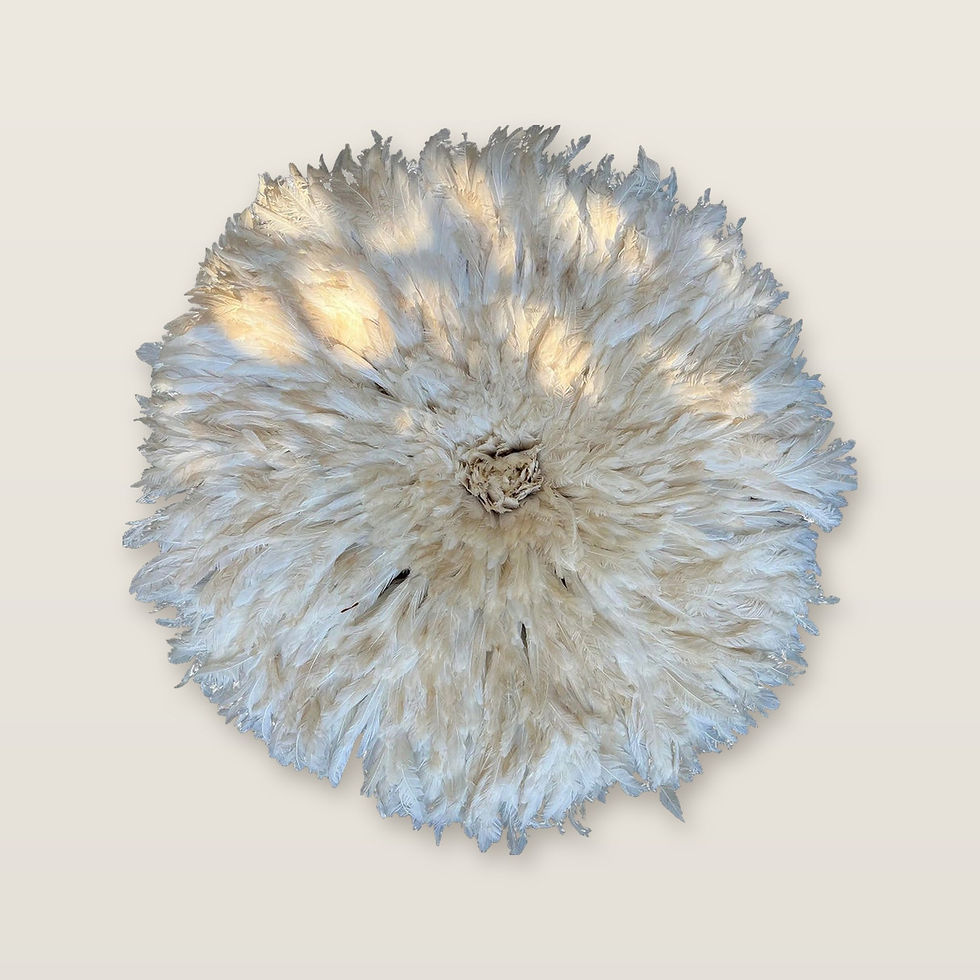 Juju Feather Headdress, Cameroon, 27.5 in, White
