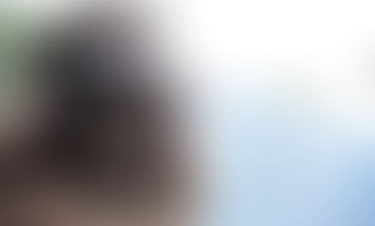 Maneja tu cámara digital réflex 2. Continuación