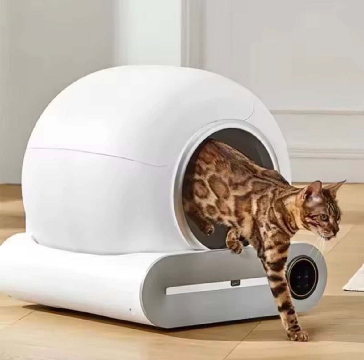Smart Cat Katzen toilette Voll automatische