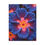 Thumbnail: Vibrant Purple Floral Canvas Print, Colorful Wall Art, Gift for Garden Lovers