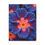 Thumbnail: Vibrant Purple Floral Canvas Print, Colorful Wall Art, Gift for Garden Lovers