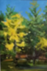 Parc de la Gatineau